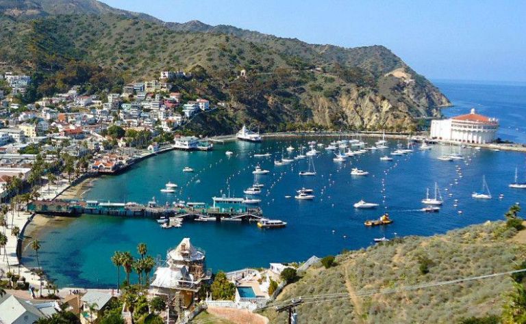 Catalina Island Image