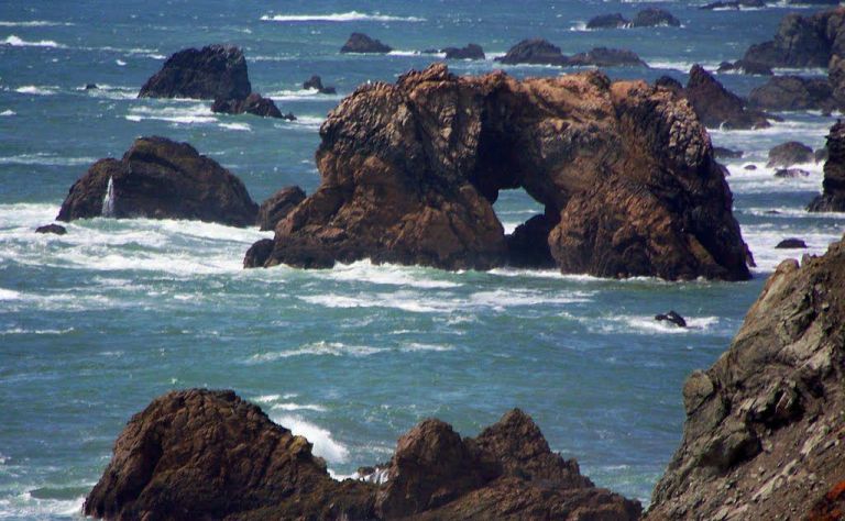 Bodega Bay Image