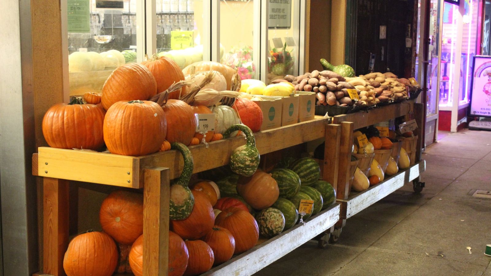 Haight Ashbury Fall Pumpkins