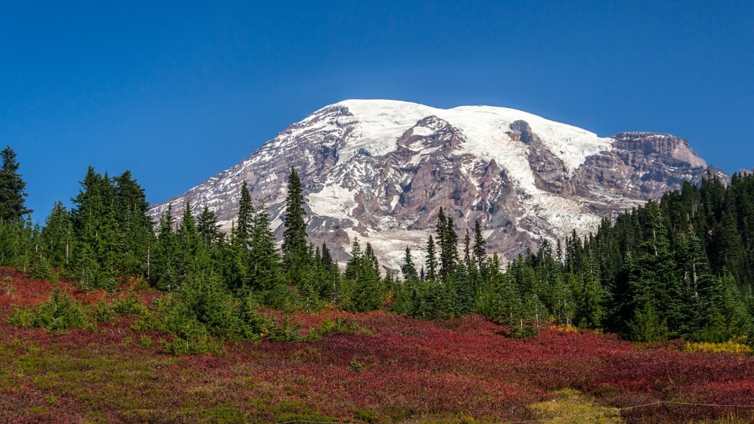 Mount Rainier offers gay travelers plenty of chances to connect with nature.